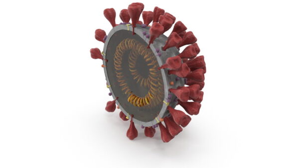 Novel Coronavirus Cross Section_color 0000