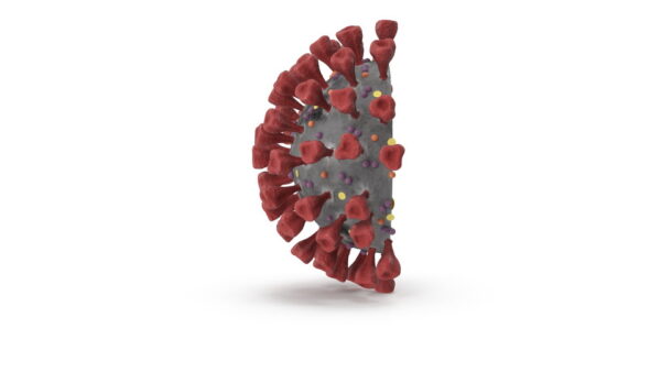 Novel Coronavirus Cross Section_turn_color-0003
