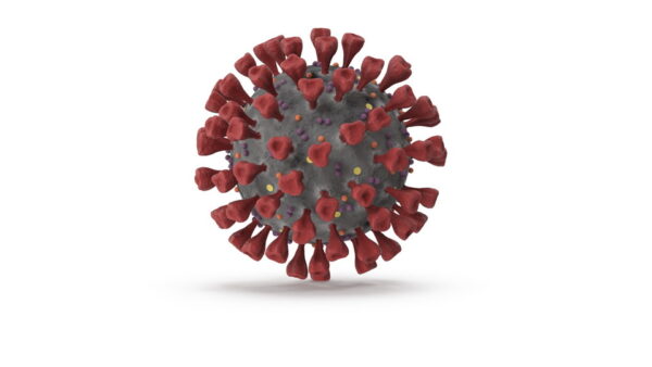 Novel Coronavirus Cross Section_turn_color-0006