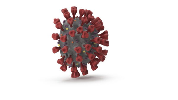 Novel Coronavirus Cross Section_turn_color-0008