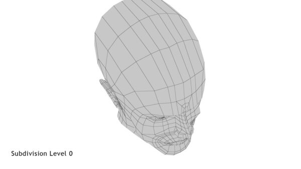 head_render_wireframe 4.0
