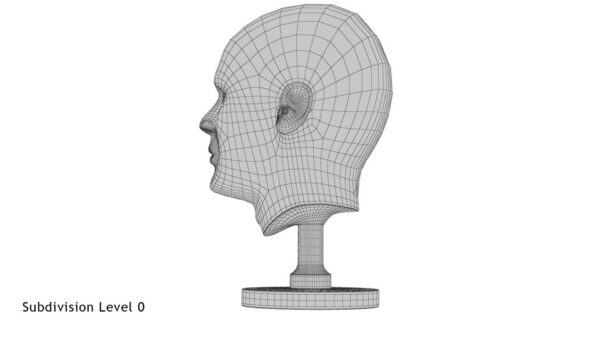 Silver Head Statue_render_wireframe 3.0