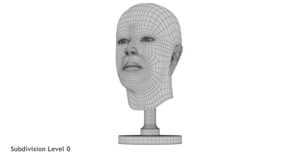 Golden Head Statue_render_wireframe 1.0