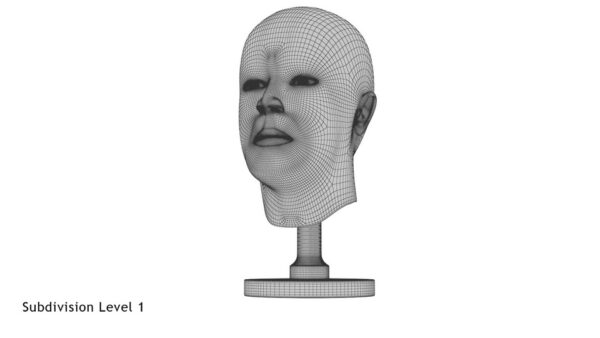 Golden Head Statue_render_wireframe 1.1
