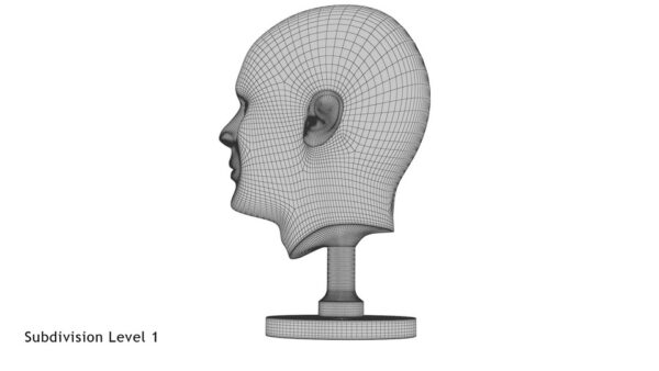 Golden Head Statue_render_wireframe 3.1