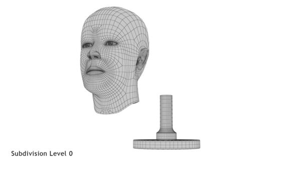 Golden Head Statue_render_wireframe 6.0