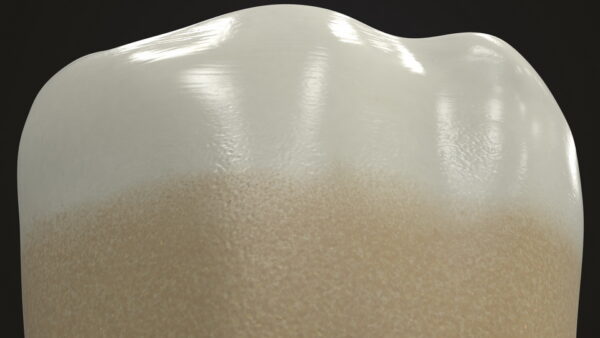Human Teeth Lower First Molar_render_color 0009