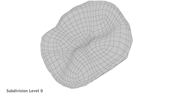Human Teeth Lower First Molar_render_wireframe 5.0