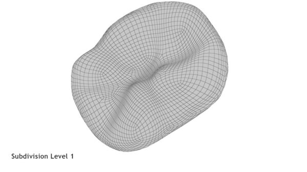 Human Teeth Lower First Molar_render_wireframe 5.1