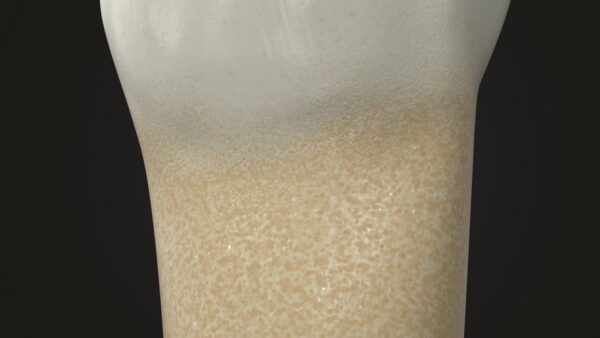 Lower First Premolar_render_color 0004