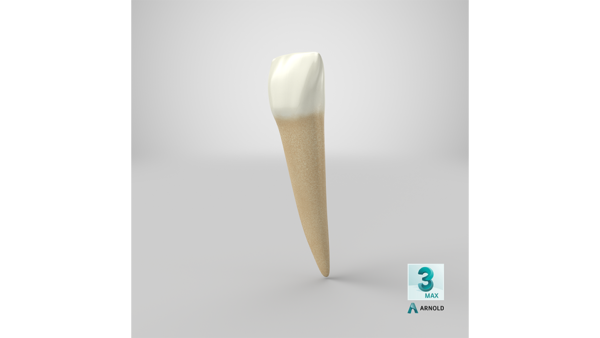 max_arnold