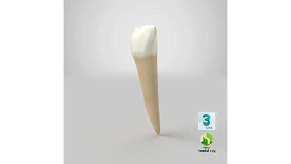 max_mentalray