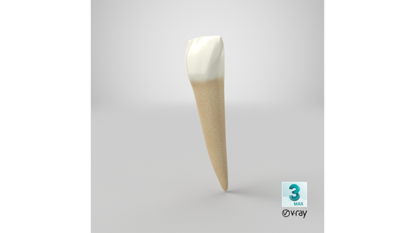 max_vray