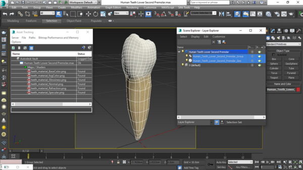 viewport