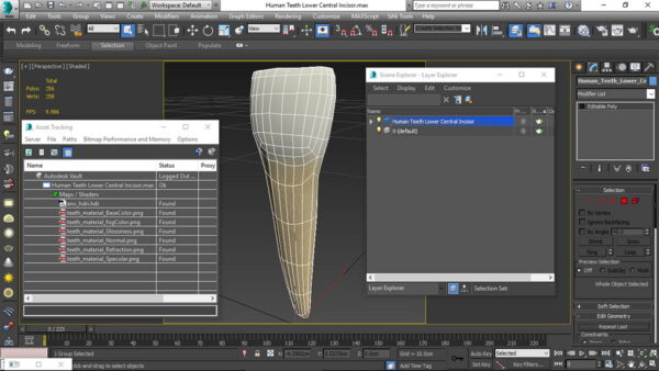 viewport