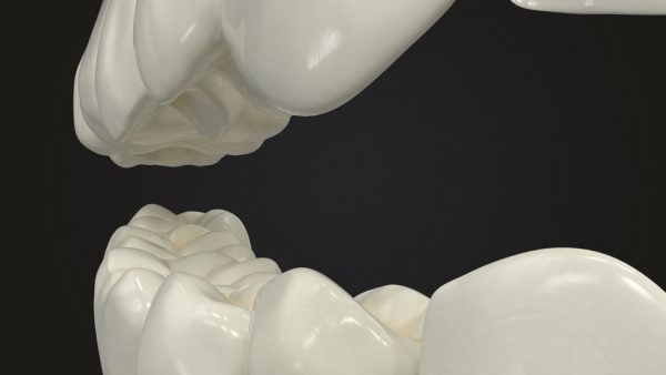 Realistic Teeth Permanent Dentition_color009 _resize