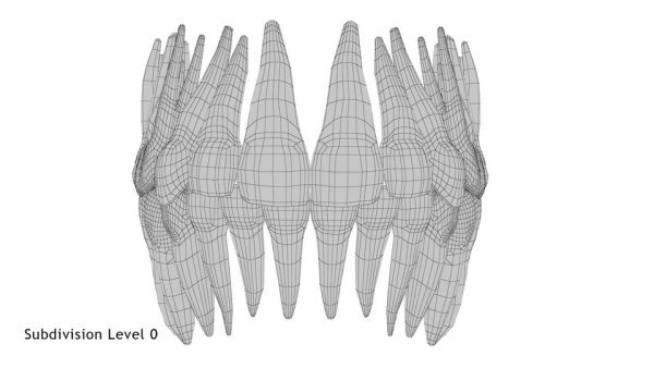 Realistic Teeth Permanent Dentition_wireframe 1.0