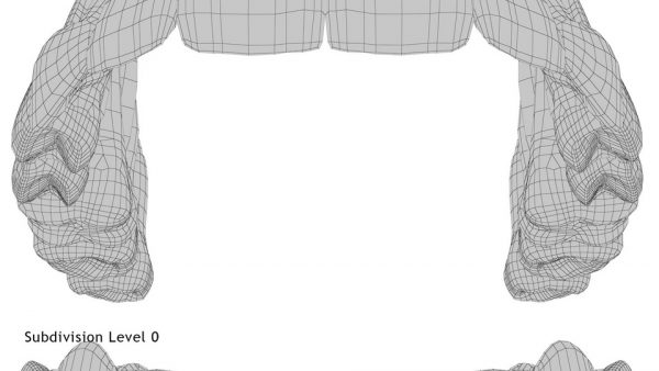 Realistic Teeth Permanent Dentition_wireframe 3.0